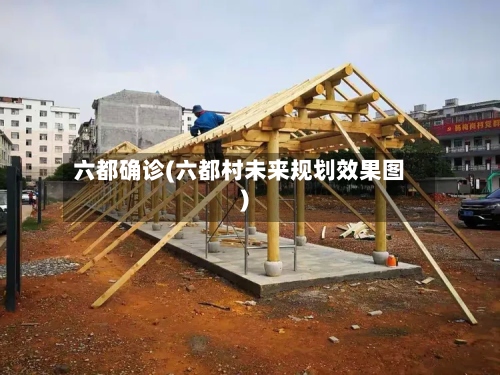 六都确诊(六都村未来规划效果图)