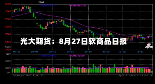 光大期货：8月27日软商品日报-第3张图片