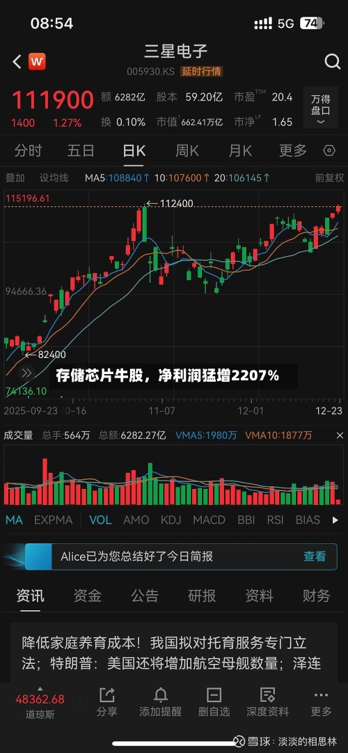 存储芯片牛股，净利润猛增2207%