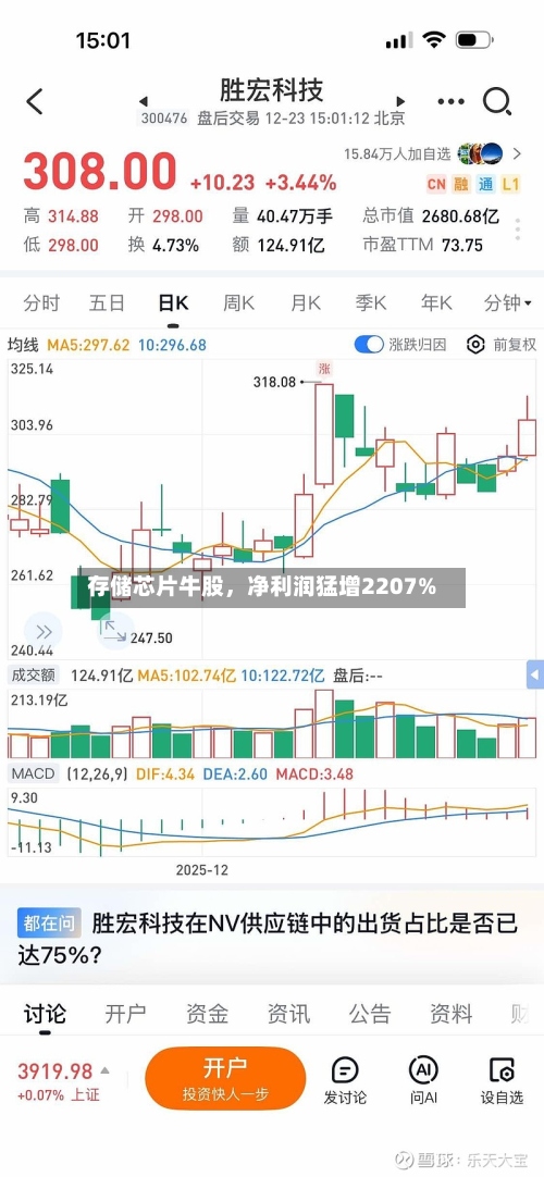 存储芯片牛股，净利润猛增2207%-第2张图片