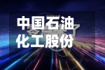 中国石油化工股份连续2日回购，累计回购462.60万股-第2张图片