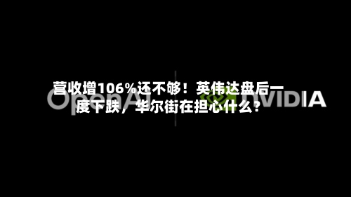 营收增106%还不够！英伟达盘后一度下跌，华尔街在担心什么？-第2张图片