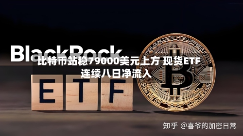 比特币站稳79000美元上方 现货ETF连续八日净流入-第3张图片