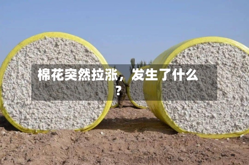 棉花突然拉涨，发生了什么？-第1张图片