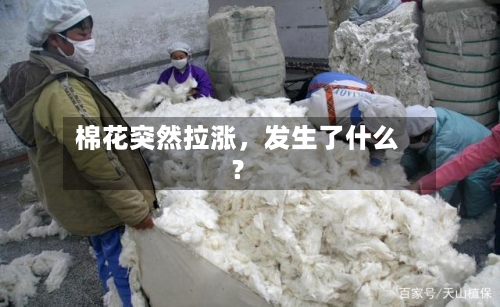 棉花突然拉涨，发生了什么？-第3张图片