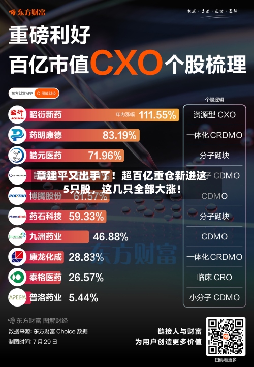 章建平又出手了！超百亿重仓新进这5只股，这几只全部大涨！-第2张图片