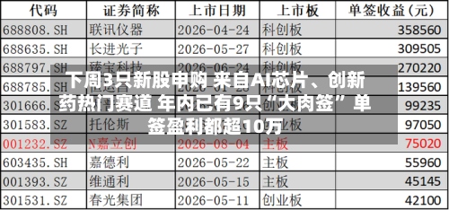 下周3只新股申购 来自AI芯片、创新药热门赛道 年内已有9只“大肉签” 单签盈利都超10万