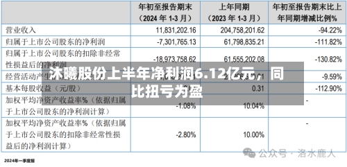 沐曦股份上半年净利润6.12亿元	，同比扭亏为盈-第2张图片