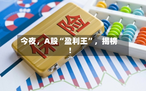 今夜	，A股“盈利王”，揭榜！-第3张图片