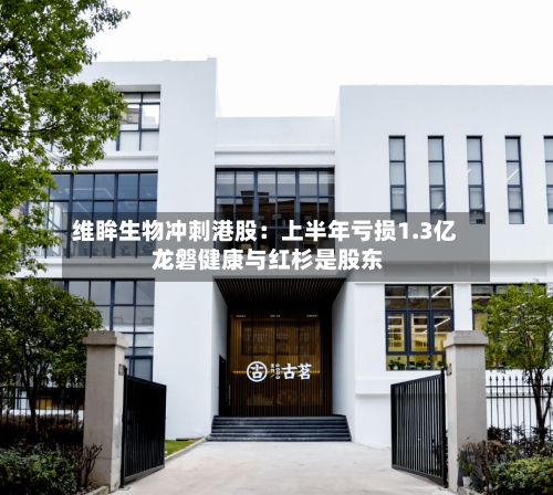维眸生物冲刺港股:上半年亏损1.3亿 龙磐健康与红杉是股东-第2张图片