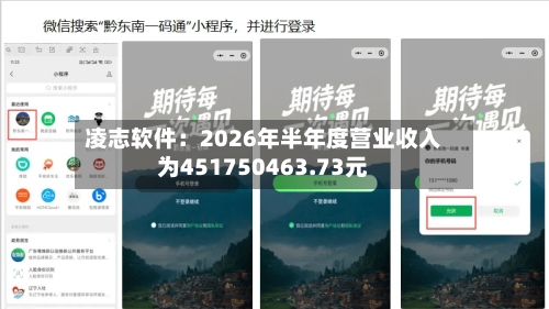 凌志软件:2026年半年度营业收入为451750463.73元-第3张图片