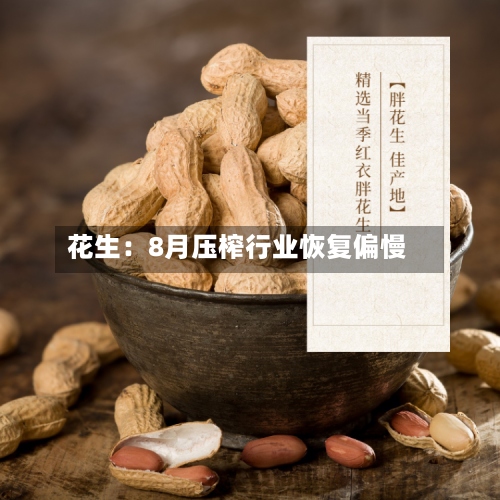 花生：8月压榨行业恢复偏慢-第1张图片
