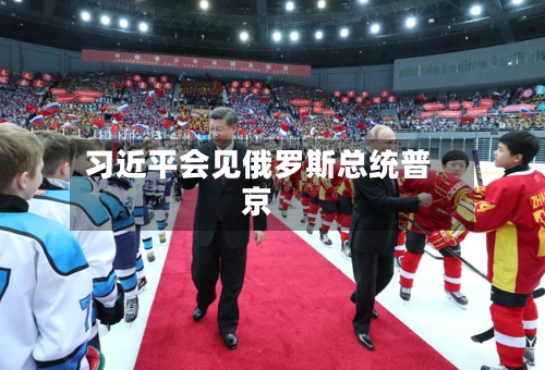 习近平会见俄罗斯总统普京