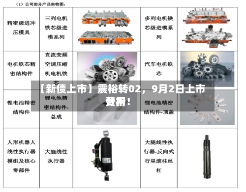 【新债上市】震裕转02，9月2日上市费用分析！