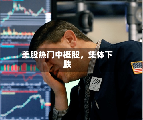 美股热门中概股，集体下跌-第3张图片