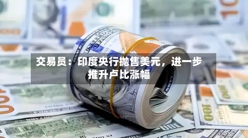 交易员：印度央行抛售美元，进一步推升卢比涨幅-第2张图片