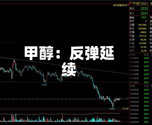 甲醇：反弹延续-第1张图片