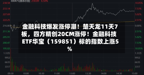 金融科技爆发涨停潮！楚天龙11天7板	，四方精创20CM涨停！金融科技ETF华宝（159851）标的指数上涨5%-第2张图片