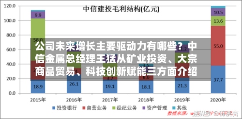 公司未来增长主要驱动力有哪些？中信金属总经理王猛从矿业投资、大宗商品贸易、科技创新赋能三方面介绍-第3张图片