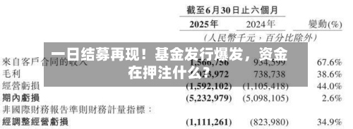 一日结募再现！基金发行爆发，资金在押注什么？-第2张图片