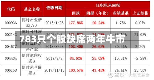 783只个股缺席两年牛市-第2张图片