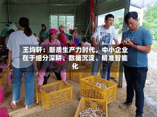 王均轩：新质生产力时代	，中小企业在于细分深耕、数据沉淀、精准智能化-第2张图片